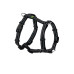 Tripoli 胸帶 18-30/XXS, Black