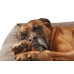 Dog Sofa Bologna 70x50 cm, Stone Dog Sofa Bologna 70x50 cm, Stone