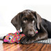KONG® Wubba™ Finz 狗玩具